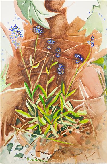 Forget Me-Nots by Ross Bollerup