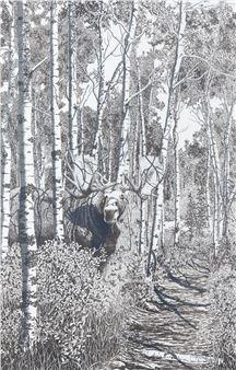 Untitled - Moose - Gary Boyle