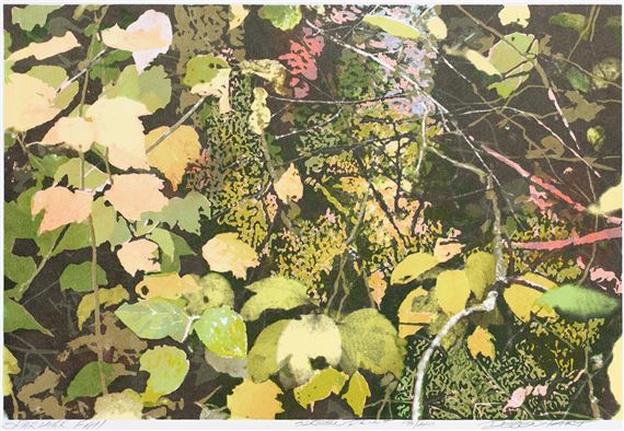 Sparvier Fall by Eltje Degenhart