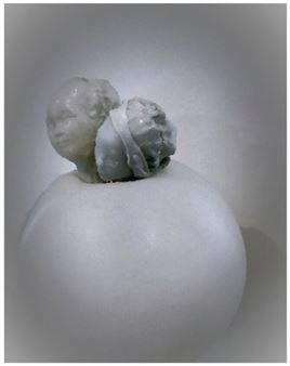 Mirta Dror: Mind Brain Exemplars - Artists House TLV