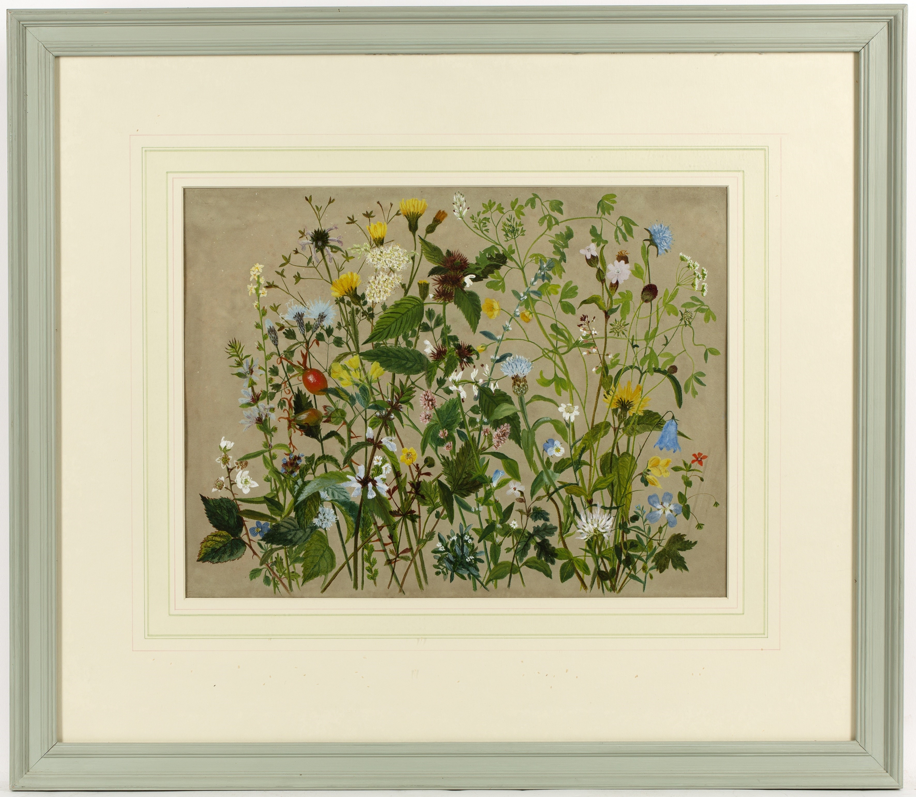 British School, 19th Century | 'Forty Wild Flowers Picked on the Shore ...