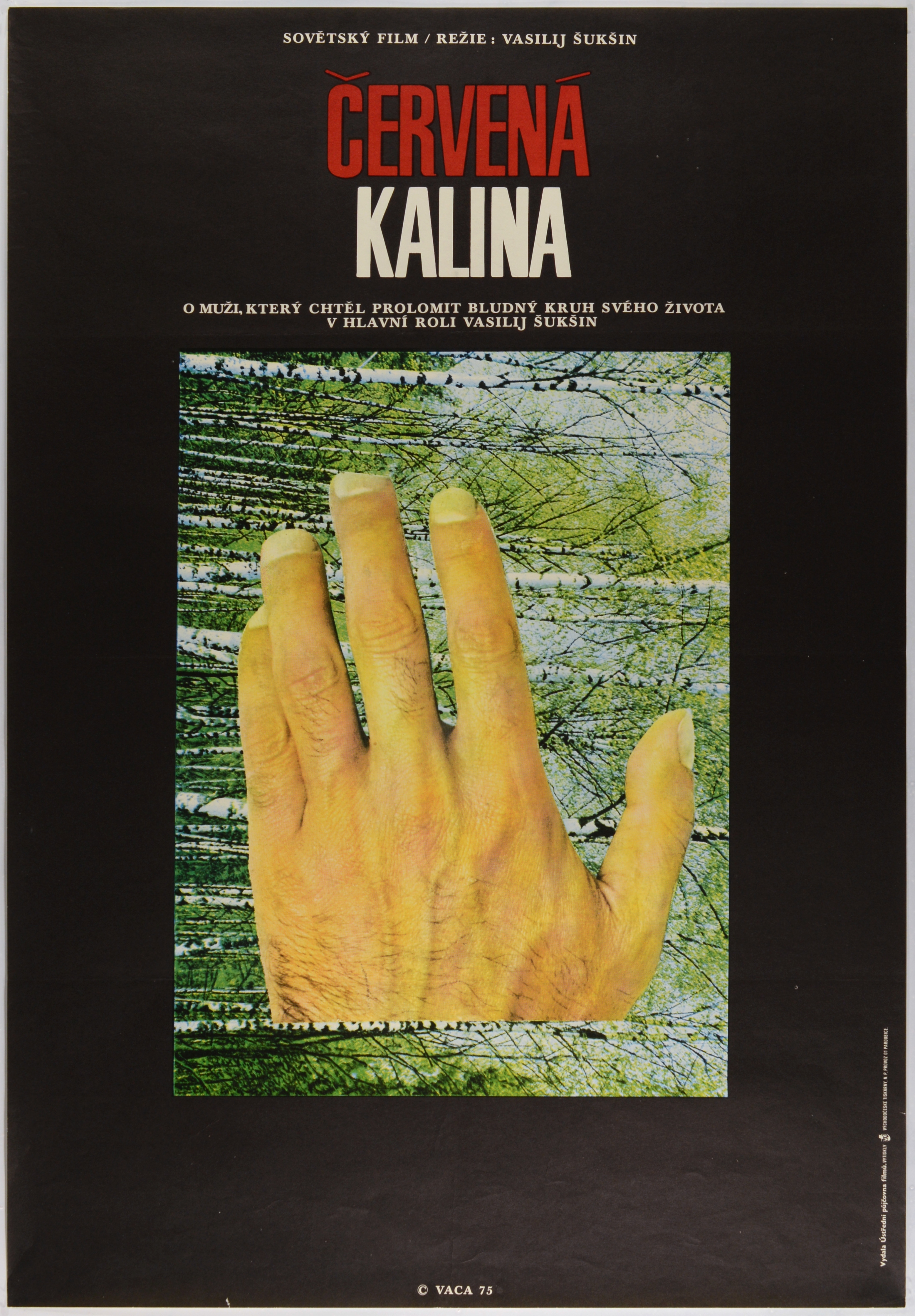 ČERVENÁ KALINA (KALINA KRASNAJA) by Karel Vaca, 1975