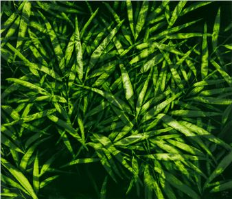 Light Shadow - Kim Geonil