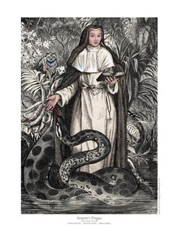 Julie Speed: Launch of Posters of Nuns - Webb Gallery