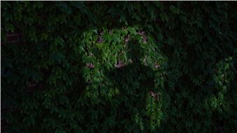 Staring at the Sun - David Zwirner, New York (533 W 19th Street)