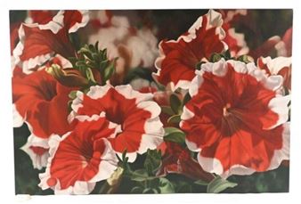 Red Petunias - Winifred Godfrey
