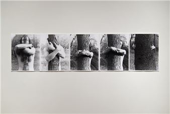 ‘Becoming Trees,’ and Learning from Them, at Concord Center for the Visual Arts