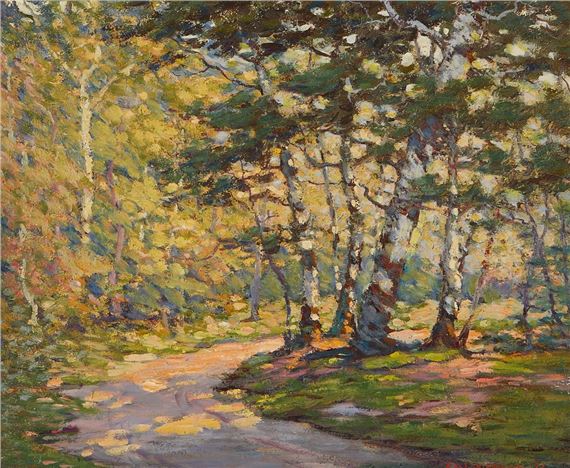 Depicting a dappled scene of a woodland path