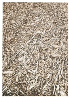"Hilldale Cornstalks" - Mary Neumuth Mito