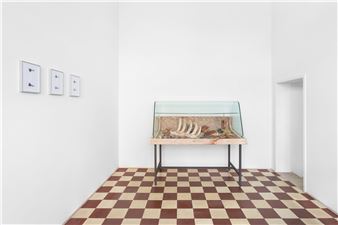 Tracing The Infrathin - Monitor, Lisbon