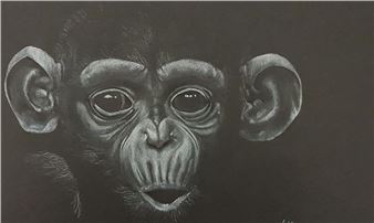 Africa by Art. An exhibition by Lara Michelle Cook - Willis Museum, Hampshire Cultural Trust