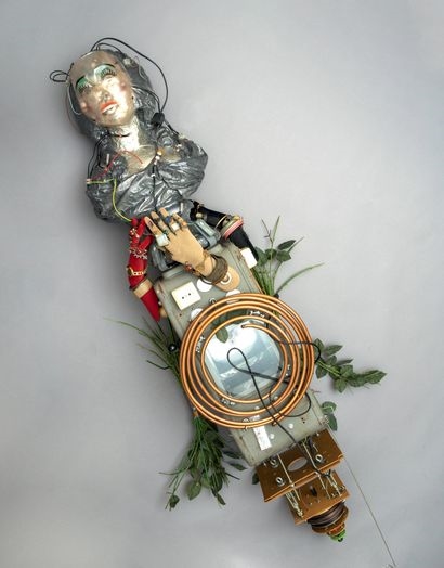 Artwork by Skall, Renconstitution, Made of Assemblage of various objects