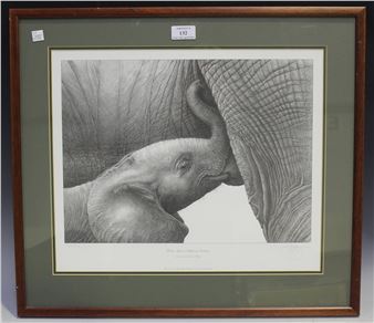 Baby African Elephant Suckling - Gary Hodges