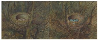 Birds nest - A. Morton