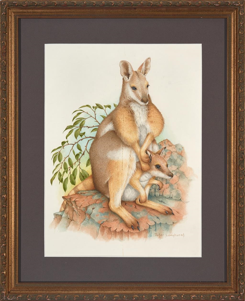 Peter Longhurst | Yellow Footed Rock Wallaby with Joey | MutualArt