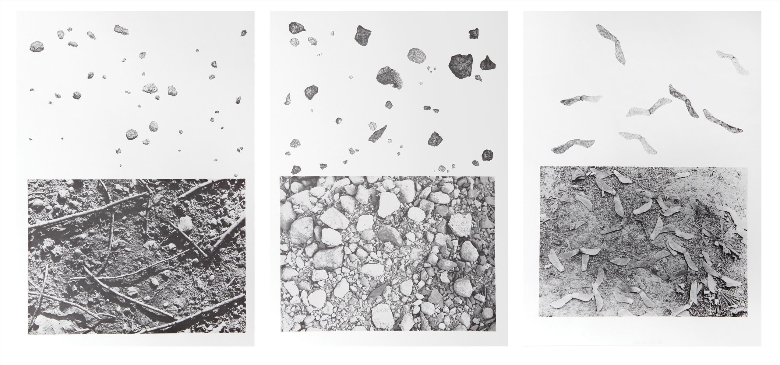 Alan Sonfist | Alan Sonfist, Earth Series, Set of Three Lithographs ...