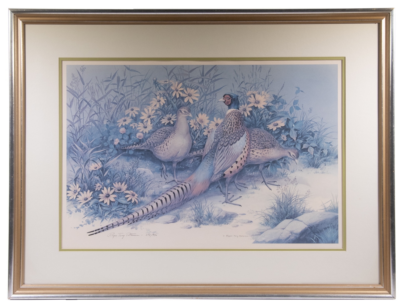 "Pheasants" by Roger Tory Peterson, dated 1977