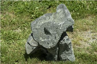 Standing Raven - Don Meserve