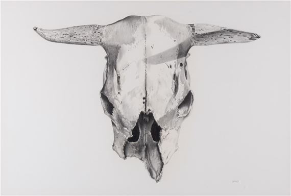 Skull - Robert Stolz