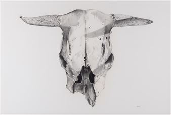 Skull - Robert Stolz