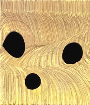 Feld - Tatjana Valsang