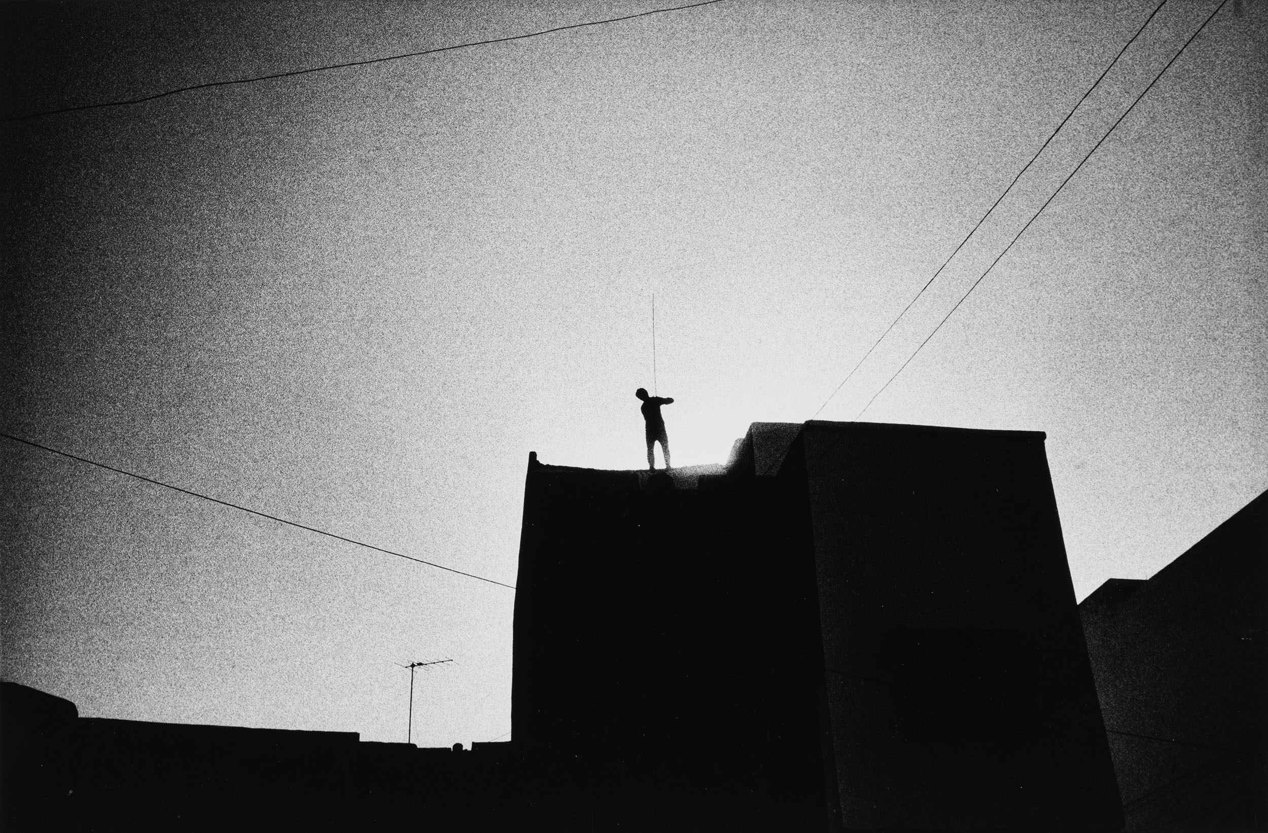 Artwork by Paulo Nozolino, Verona, Made of Vintage gelatin silver print