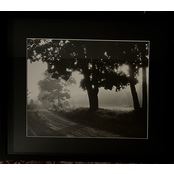 Summer Morning.n Diploma in Photography“ Homeland Landscape - J. Tālbergs