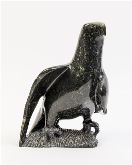 Falcon - Harley Veevee