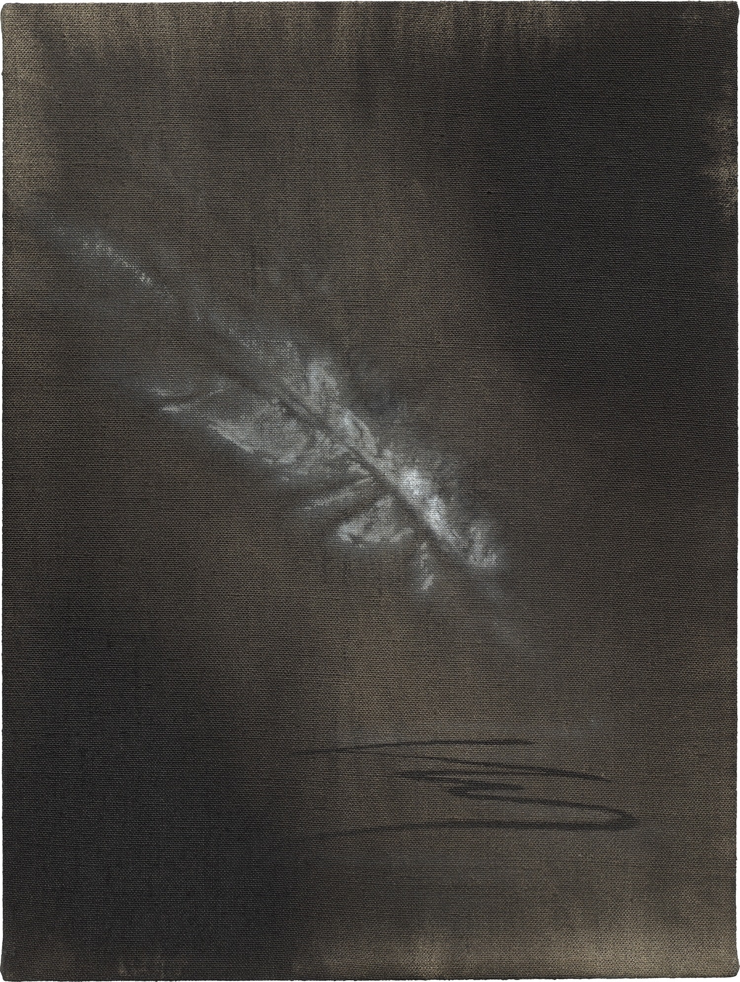 Artwork by Sanya Kantarovsky, Untitled, Made of ink, bleach and gesso on linen