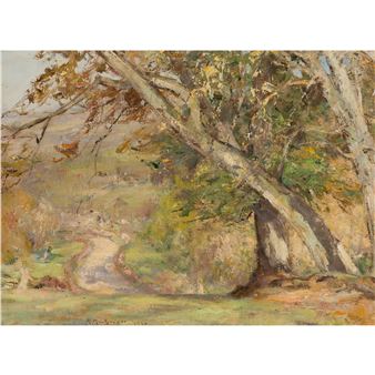 THROUGH THE FOREST - Harry MacGregor