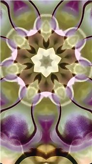 ONLINE: A Soft Many-Colored Plain - Paradice Palase