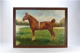 Le champion Muscatel, étalon cob 1900 - E. Fayt