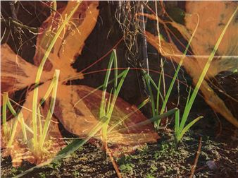 Amy Lien & Enzo Camacho:  (Wings Becoming) - 47 Canal