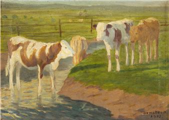 Cows - Róbert Demeter