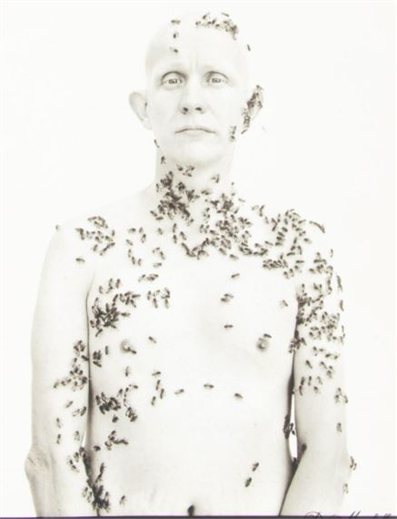 Richard Avedon Portraits 発行年 2002年 Richard Avedon Portraits 発行年 2002年 Richard Avedon