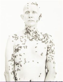 Richard Avedon | PORTRAITS (2002) | MutualArt