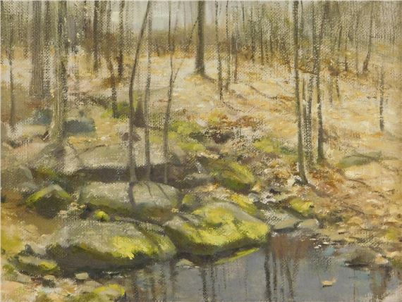 Autumnal landscape with bare trees standing around brook with moss covered stones