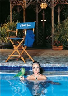 Hollywood - Helmut Newton Foundation