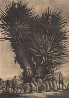 Flowering Yucca - Helen Ferne Slimp