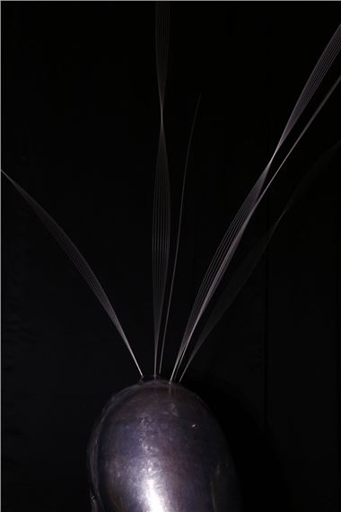 London Tsai & Wen-Ying Tsai: Illuminations - Grizzly Grizzly