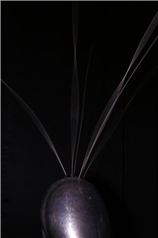 London Tsai & Wen-Ying Tsai: Illuminations - Grizzly Grizzly