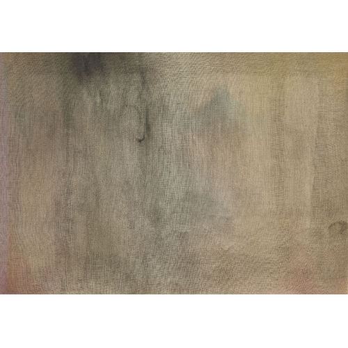 Kleiner Grauschieber by Michael Biberstein, 1996