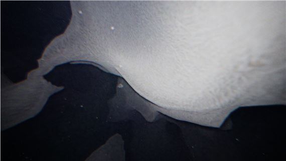 Lukáš Prokop: Oozing Worlds into Being - Galerie TIC