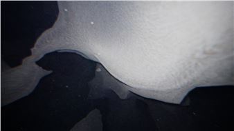 Lukáš Prokop: Oozing Worlds into Being - Galerie TIC