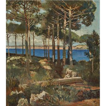 Pinienhain am Ufer - G. Rendina