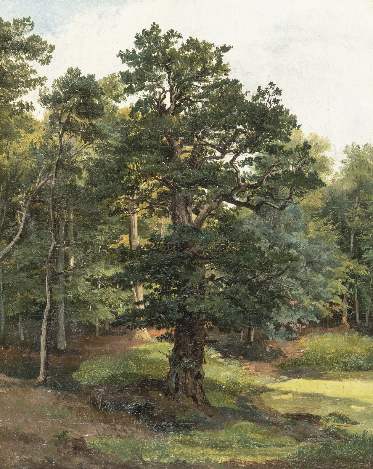Artwork by Friedrich Preller the Elder, Large oak near Weimar, Made of Oil on canvas