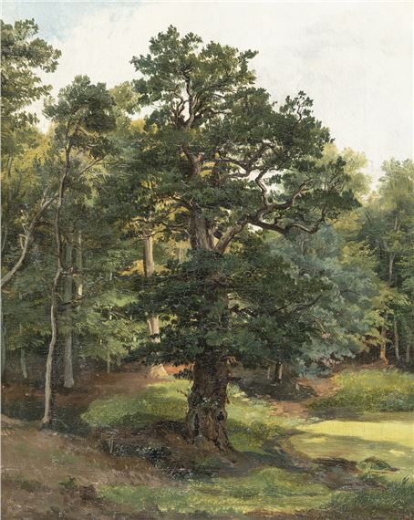 Large oak near Weimar by Friedrich Preller the Elder, 1836