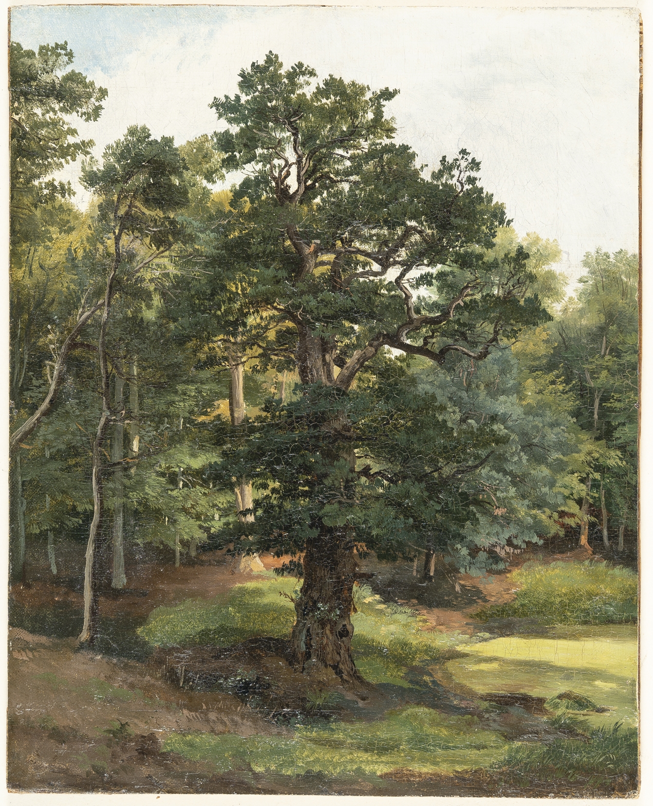 Artwork by Friedrich Preller the Elder, Large oak near Weimar, Made of Oil on canvas