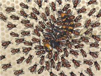 Allen Peterson: Collective Action - Day & Night Projects