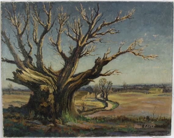 Extensive landscapes by Paul Earee